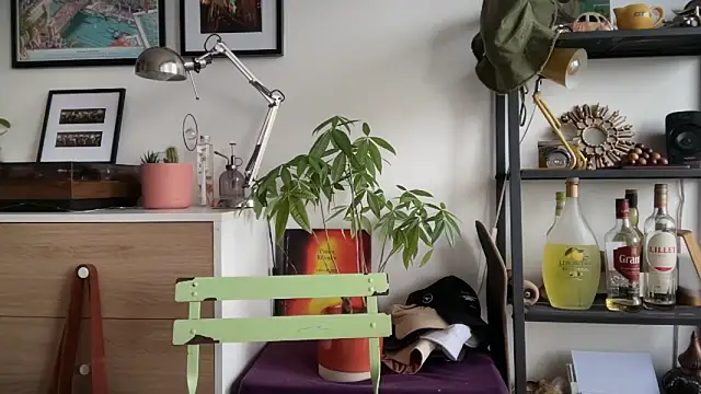 Snapshot of MikymikeBBWD chatting on November 22, 2025, 1:54 pm MikymikeBBWD online show from November 22, 2025, 1:54 pm