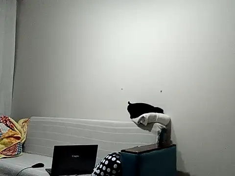 Snapshot of BellBort chatting on March 3, 2026, 7:43 pm BellBort online show from March 3, 2026, 7:43 pm