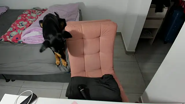 Greciaruiz  online show from April 15, 2026, 1:22 am