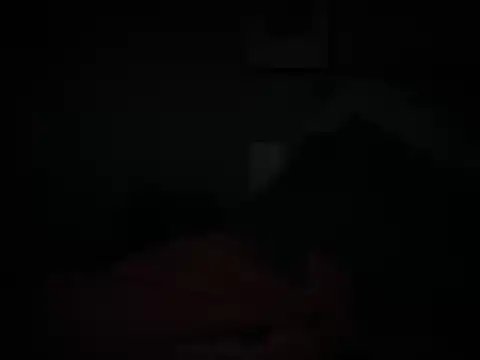 Snapshot of DominantDong chatting on February 10, 2026, 1:37 am DominantDong online show from February 10, 2026, 1:37 am