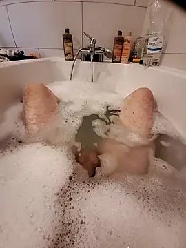 Jerome2312 online show from April 10, 2026, 12:45 pm