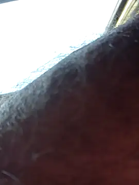 chris8827 online show from March 13, 2025, 11:16 pm