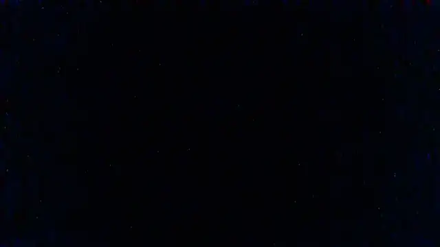 SillyRabbitz online show from March 3, 2025, 10:28 am