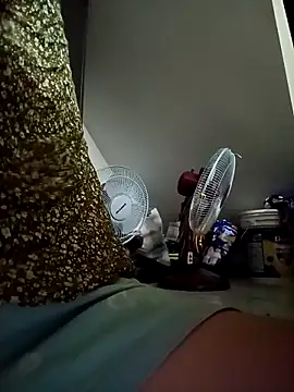 payalchola online show from April 15, 2026, 4:55 pm