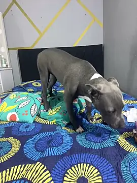 angellicaa  online show from March 7, 2026, 2:11 pm