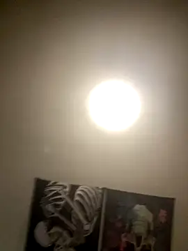 1Zoey101 online show from November 5, 2025, 4:37 am