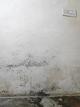 Snapshot of pallu_telgu_kannada chatting on March 4, 2026, 5:31 pm pallu telgu kannada online show from March 4, 2026, 5:31 pm