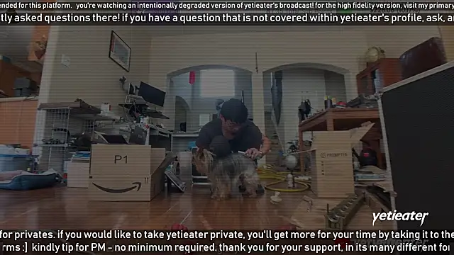 Snapshot of yetieater chatting on February 13, 2025, 5:22 pm yetieater online show from February 13, 2025, 5:22 pm