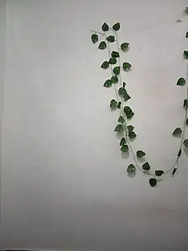 Neha-Bhabhi-Rasily online show from April 6, 2026, 4:52 pm