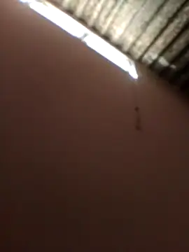 Sandra42 online show from April 18, 2026, 1:24 pm