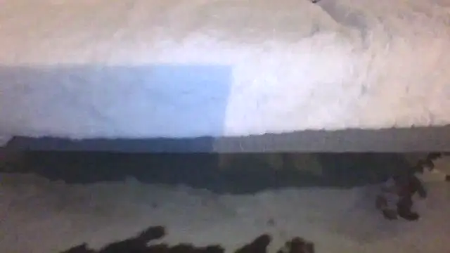 Valentinette online show from February 11, 2026, 8:41 pm