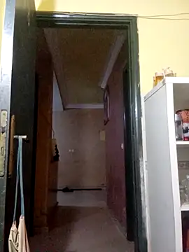 patrona sexooo online show from November 21, 2025, 9:47 pm