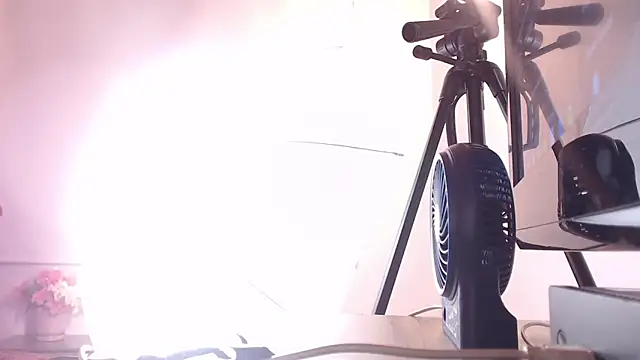 Cattleya gilQS online show from March 20, 2025, 11:23 pm