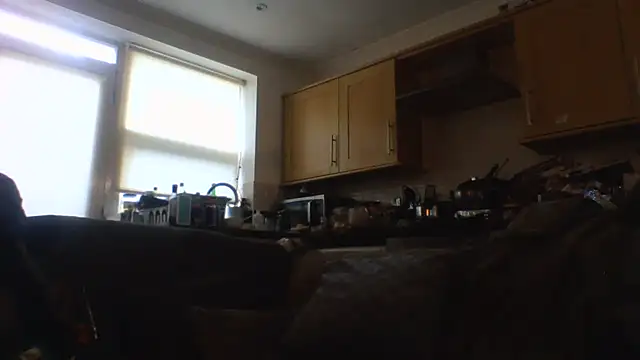 Grower and shower online show from November 17, 2025, 11:47 am