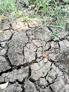 himvilohi08 online show from April 1, 2026, 5:09 am