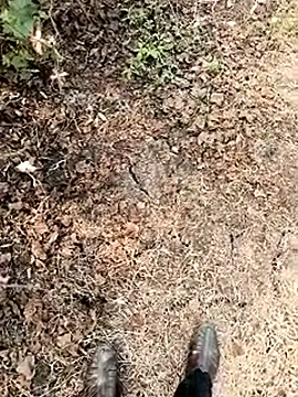 himvilohi08 online show from January 7, 2026, 6:18 am