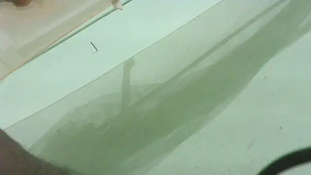 Snapshot of CrazyMove83 chatting on February 25, 2026, 12:05 pm CrazyMove83 online show from February 25, 2026, 12:05 pm