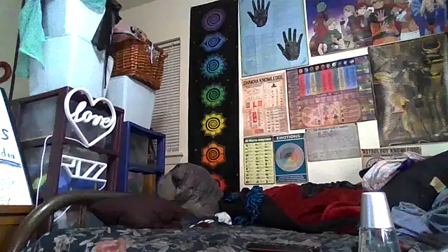 GardeniaFields online show from October 26, 2025, 3:51 am