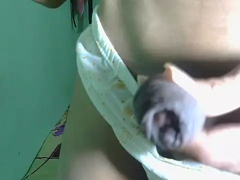 SIHUMISEXY online show from March 8, 2026, 6:22 pm