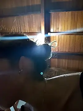 Sexi girl29 online show from November 1, 2025, 9:41 pm