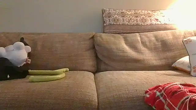 Snapshot of willtry chatting on October 29, 2025, 3:05 am willtry online show from October 29, 2025, 3:05 am