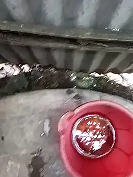 Snapshot of Ayush_pussy_fucker chatting on November 16, 2025, 9:36 am Ayush pussy fucker online show from November 16, 2025, 9:36 am