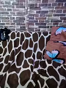 Casadaculona30 online show from March 3, 2026, 2:40 am