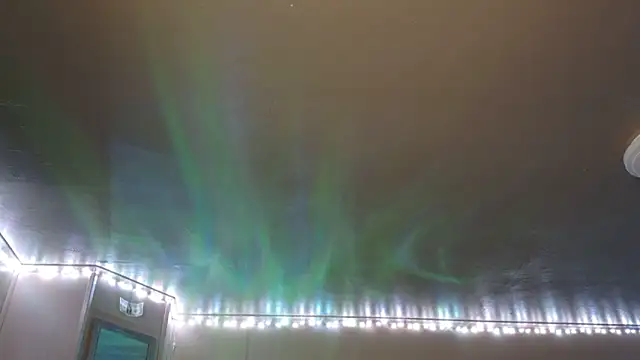 Snapshot of mavismable chatting on February 3, 2026, 6:22 am mavismable online show from February 3, 2026, 6:22 am