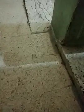 Snapshot of Hema0Hema chatting on February 21, 2026, 10:34 pm Hema0Hema online show from February 21, 2026, 10:34 pm