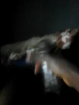 mydickbedarkandthick online show from November 23, 2025, 11:15 pm