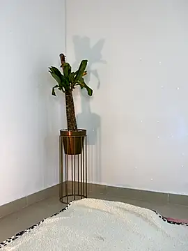 alissradiante1 online show from October 14, 2025, 11:47 pm