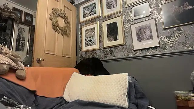 poggles online show from February 21, 2026, 8:22 pm