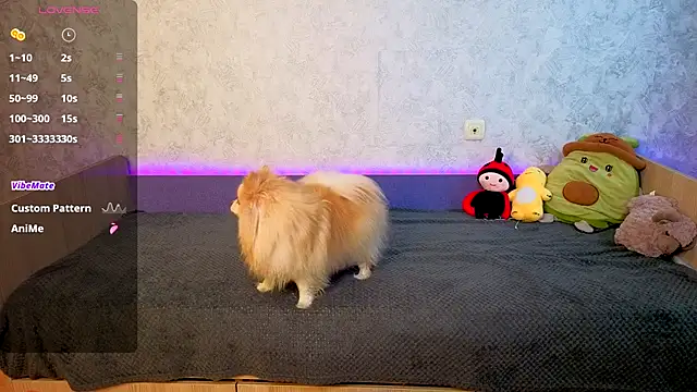 Mini Lady1 online show from November 1, 2025, 7:13 am