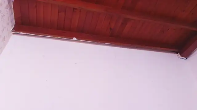 celeste moonx online show from October 10, 2025, 1:23 pm