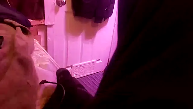 Snapshot of David1982qq chatting on October 7, 2025, 5:25 pm David1982qq online show from October 7, 2025, 5:25 pm