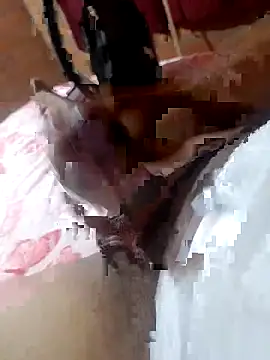 Michaello hard online show from March 14, 2026, 11:22 pm