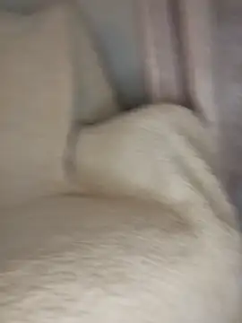 Snapshot of peepformance chatting on October 30, 2025, 9:29 am peepformance online show from October 30, 2025, 9:29 am