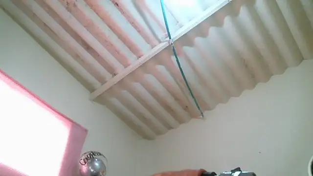 Snapshot of Monserrat_Sweet chatting on November 18, 2025, 8:56 pm Monserrat Sweet online show from November 18, 2025, 8:56 pm