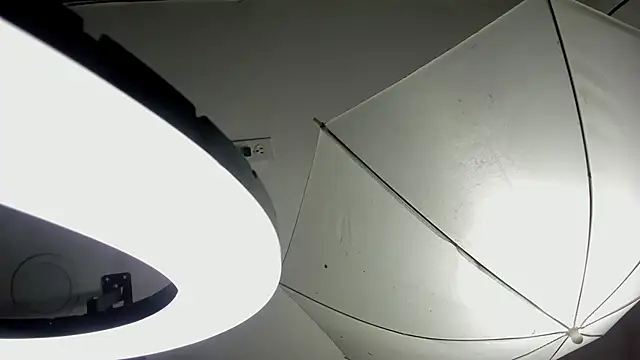 Starbutterflyy  online show from April 3, 2026, 4:41 am