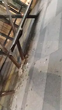 LeoMaduroSP online show from January 9, 2026, 11:33 pm