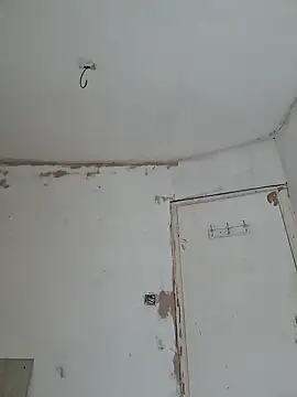 Snapshot of kisspussy1993 chatting on February 21, 2026, 3:36 pm kisspussy1993 online show from February 21, 2026, 3:36 pm