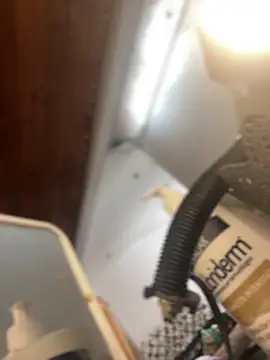 Snapshot of Noa_Todokoro chatting on September 16, 2025, 3:02 pm Noa Todokoro online show from September 16, 2025, 3:02 pm