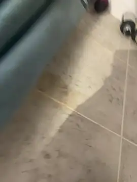 Snapshot of BobKat chatting on January 15, 2026, 9:12 am BobKat online show from January 15, 2026, 9:12 am