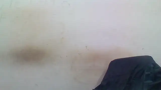 Snapshot of sasatimido chatting on December 3, 2025, 1:32 pm sasatimido online show from December 3, 2025, 1:32 pm