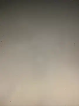 Snapshot of sasatimido chatting on January 14, 2026, 9:07 pm sasatimido online show from January 14, 2026, 9:07 pm