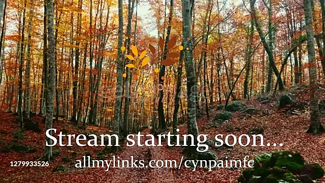 Cynpai online show from November 17, 2025, 4:27 am