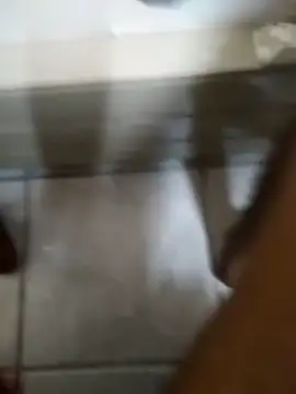 Teeteemyg online show from February 5, 2026, 7:21 pm