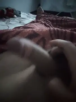 REAL Z13 online show from January 16, 2026, 4:05 am