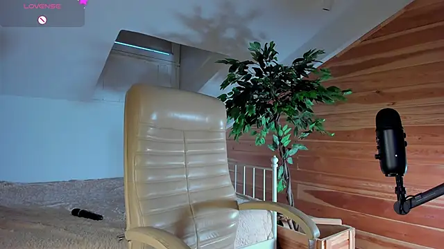 AuroraShoww online show from November 20, 2025, 12:50 pm