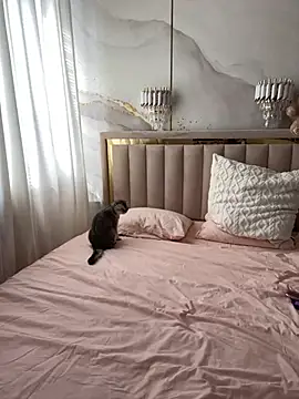 TiffaNoel online show from June 16, 2026, 2:39 pm